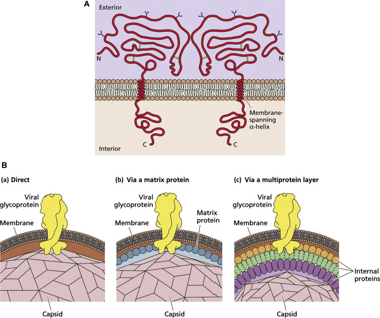 Figure 3.5