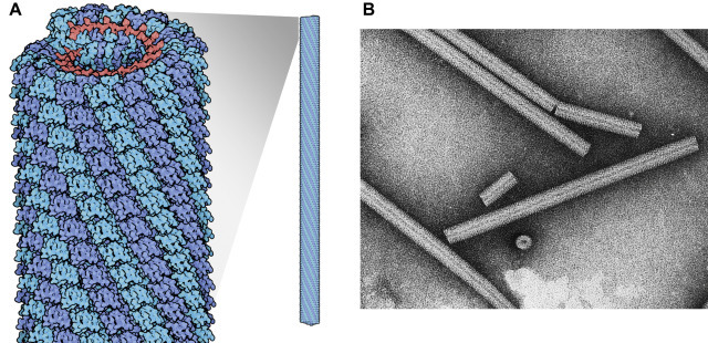 Figure 3.7