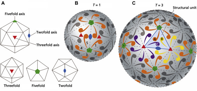 Figure 3.6