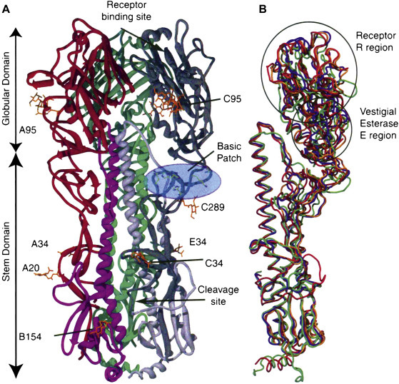 Figure 3.3
