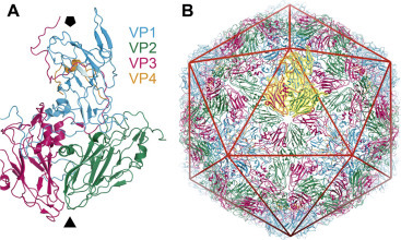 Figure 3.2