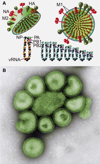 Figure 3.4
