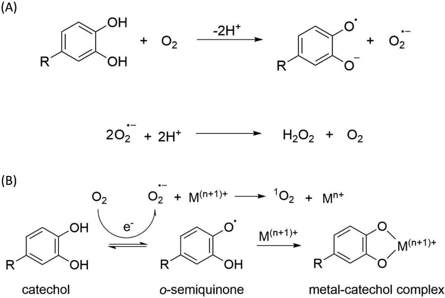 Scheme 1.