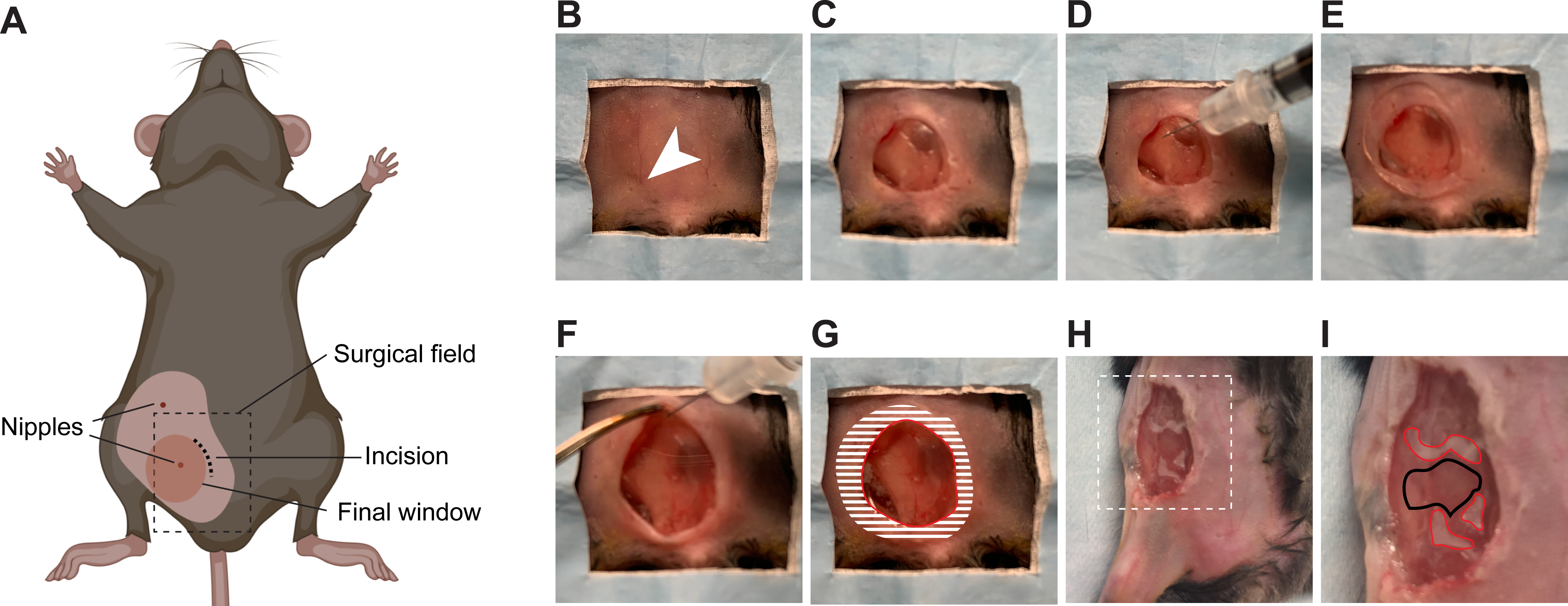 Figure 4: