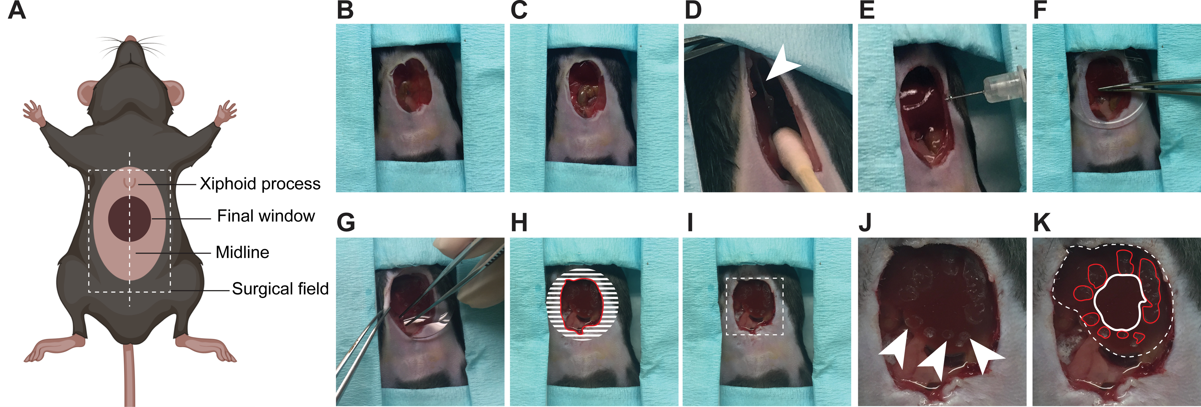 Figure 1: