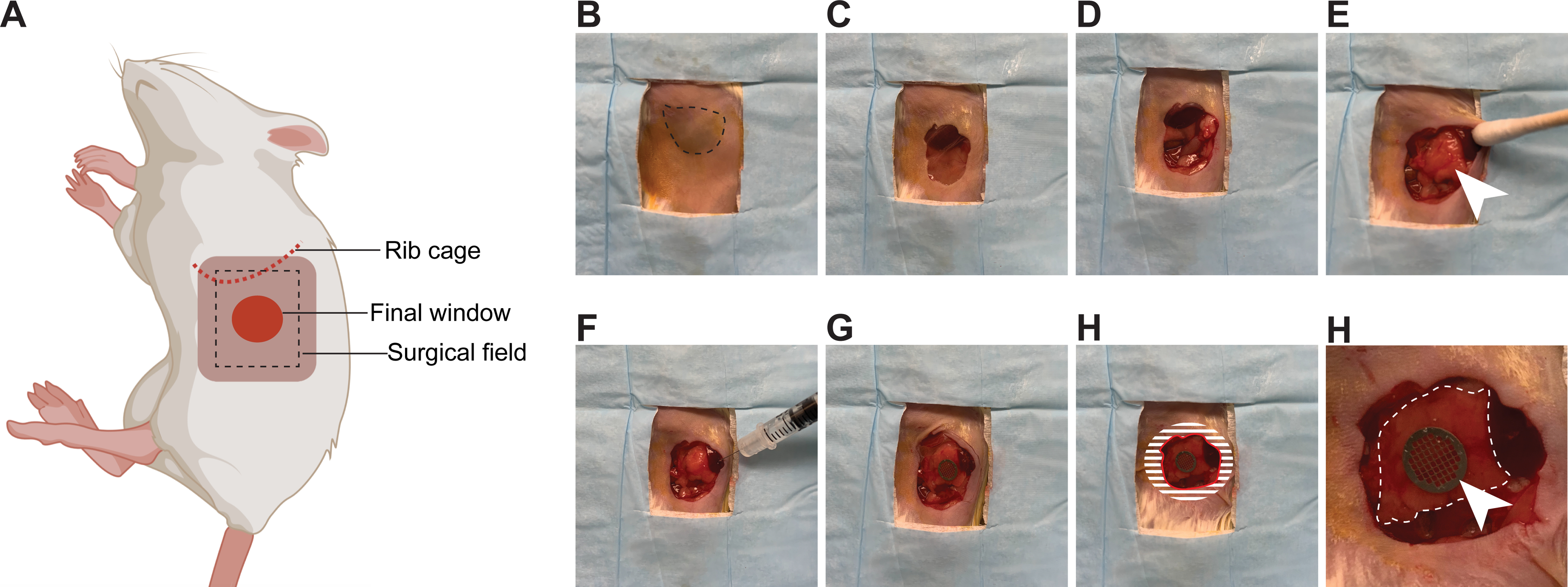 Figure 3: