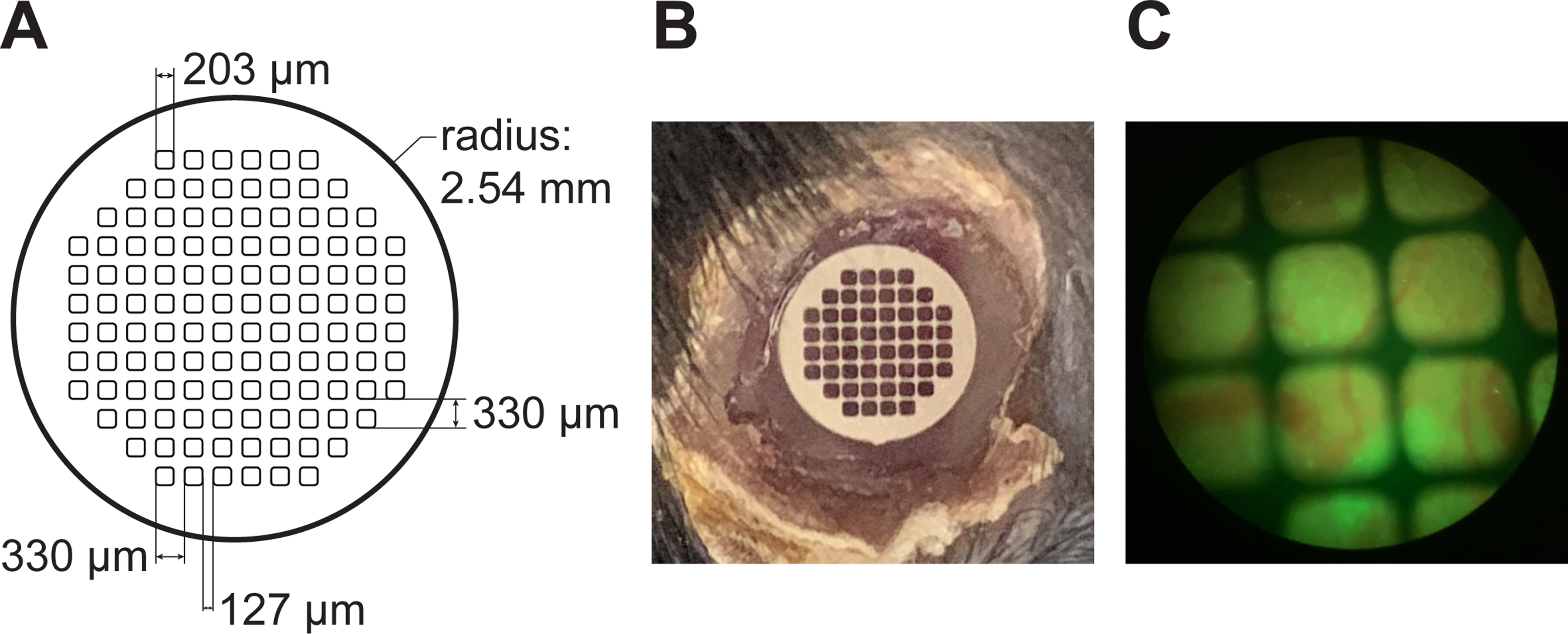 Figure 7: