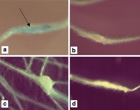 Fig. 7