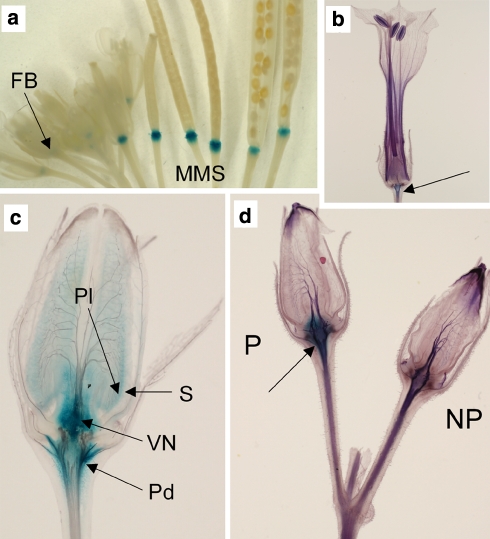 Fig. 6