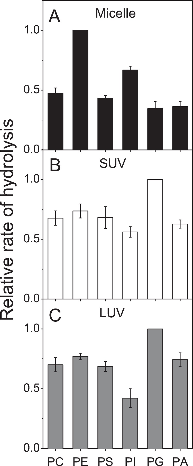 FIGURE 6.