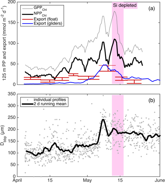 Fig. 11.