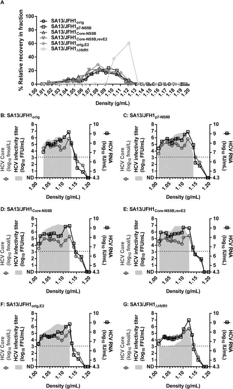 FIG 6