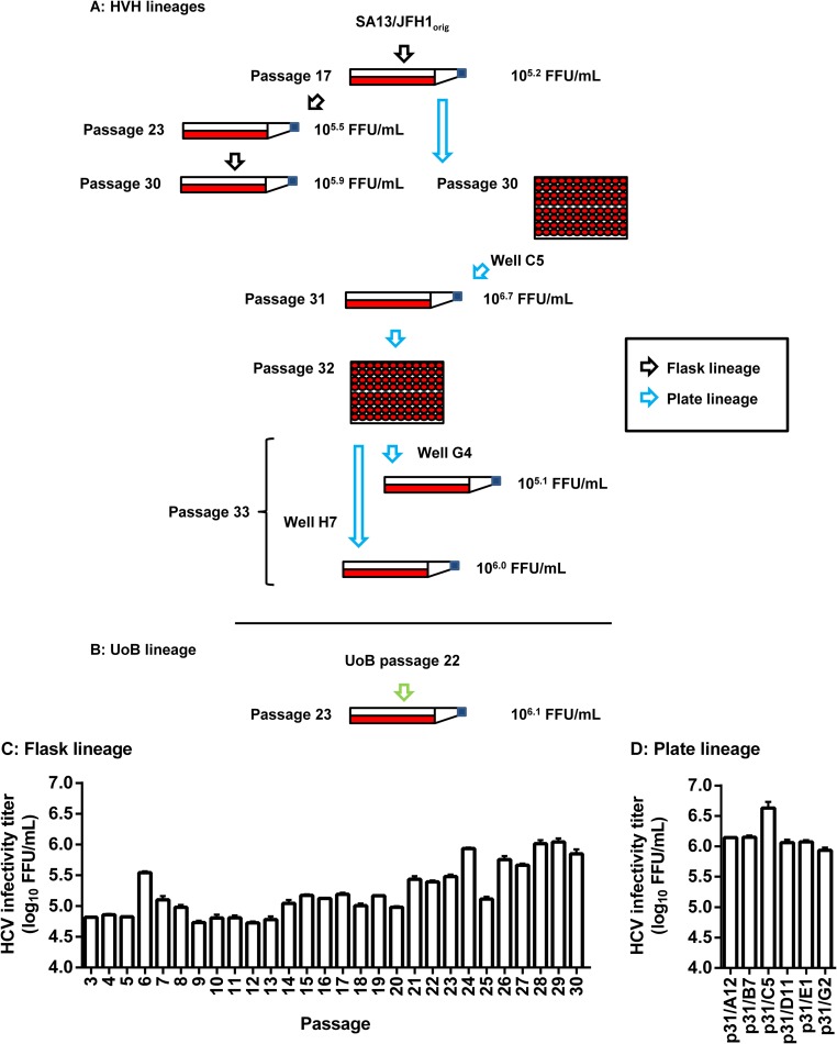 FIG 1