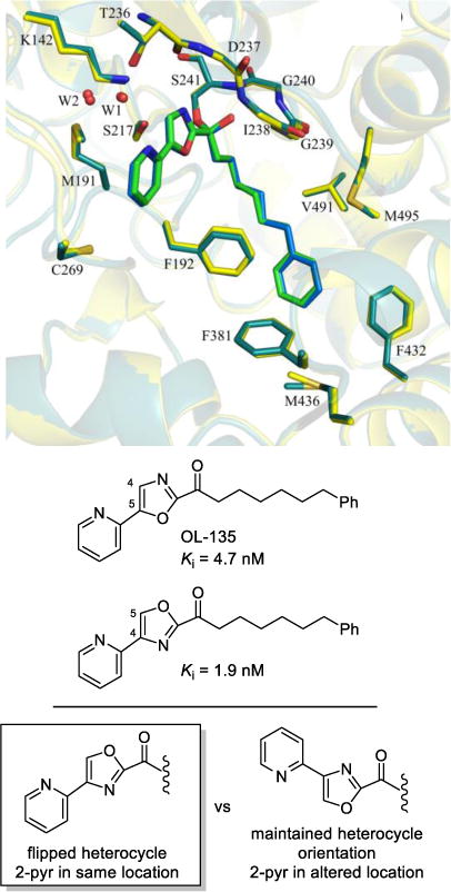 Figure 17