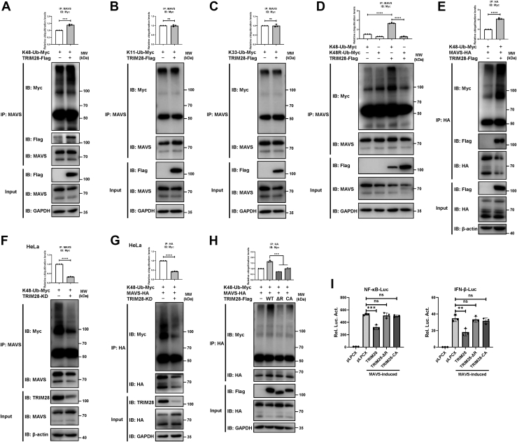 Figure 5