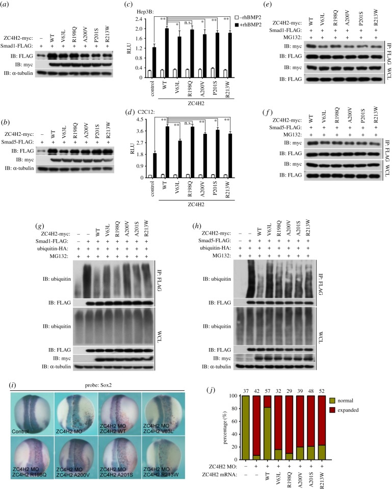 Figure 10.