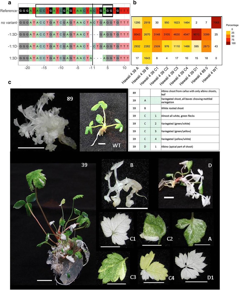 Fig. 2