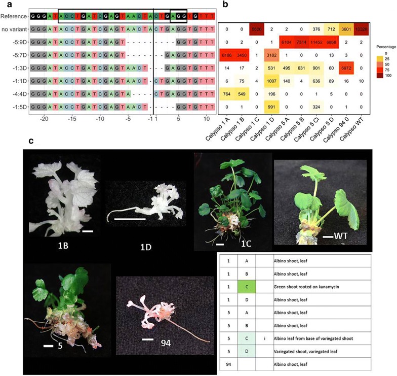 Fig. 3