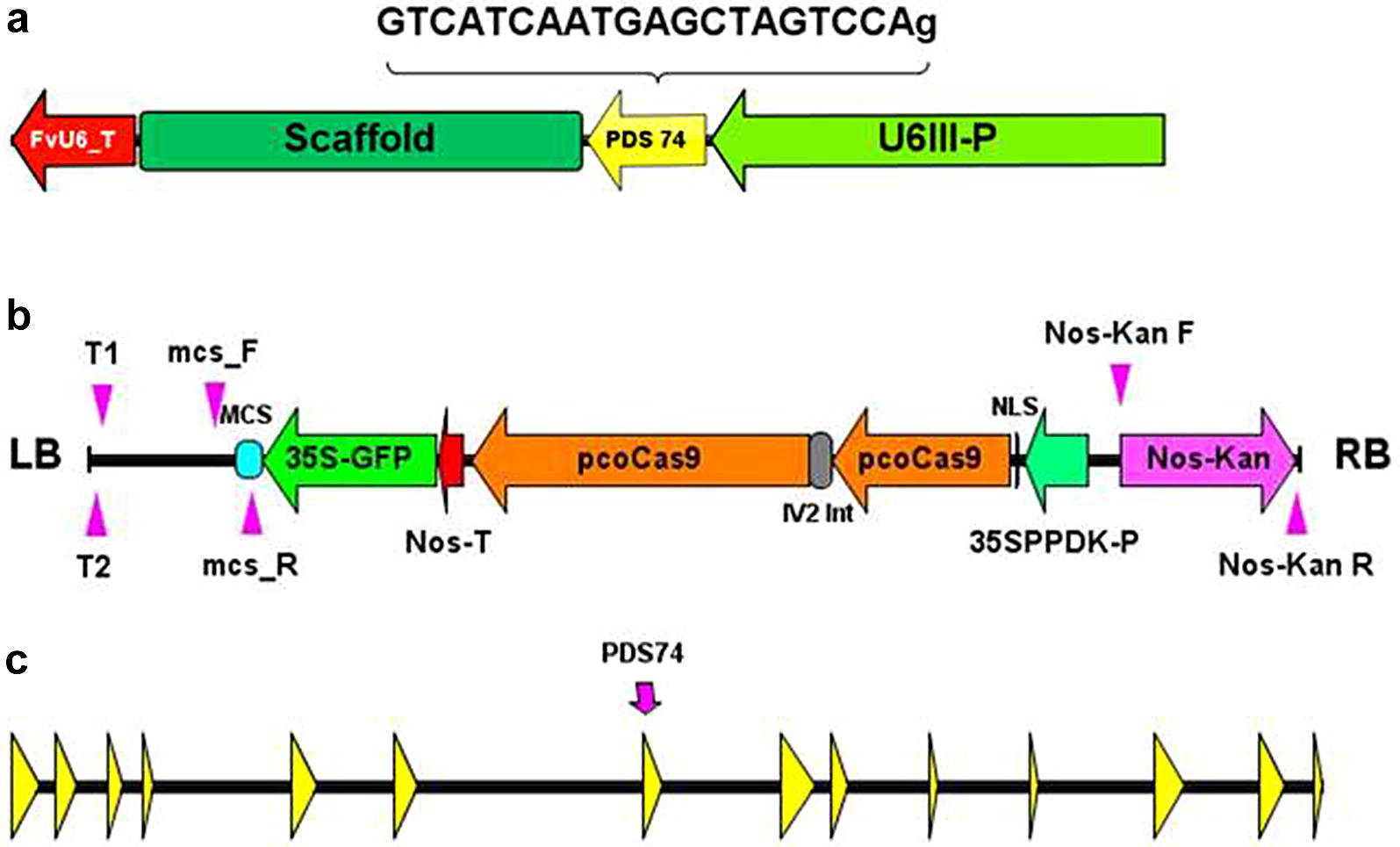 Fig. 1