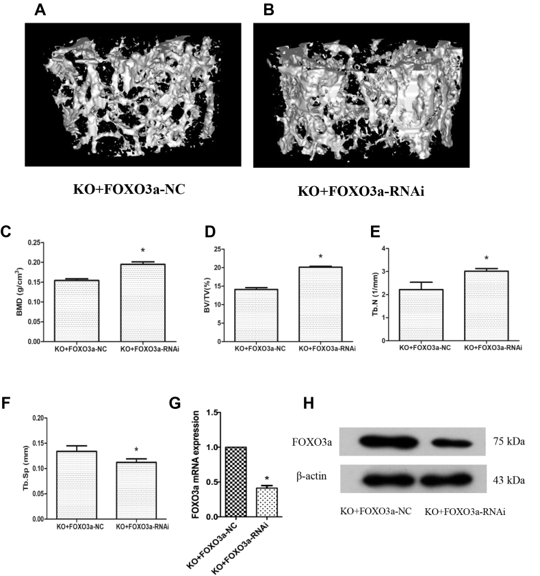 Figure 5