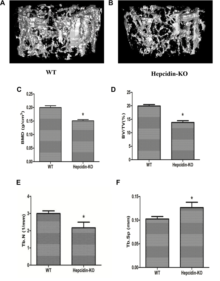 FigureQ7: Please note that the captions of figures 1 to 5 are edited according to journal style. Kindly check if appropriate and amend if necessary. 1