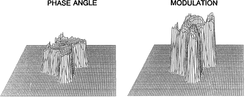 Fig. 8.