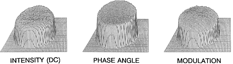 Fig. 3.