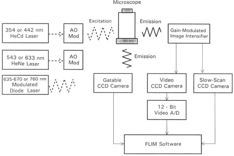 Fig. 11.