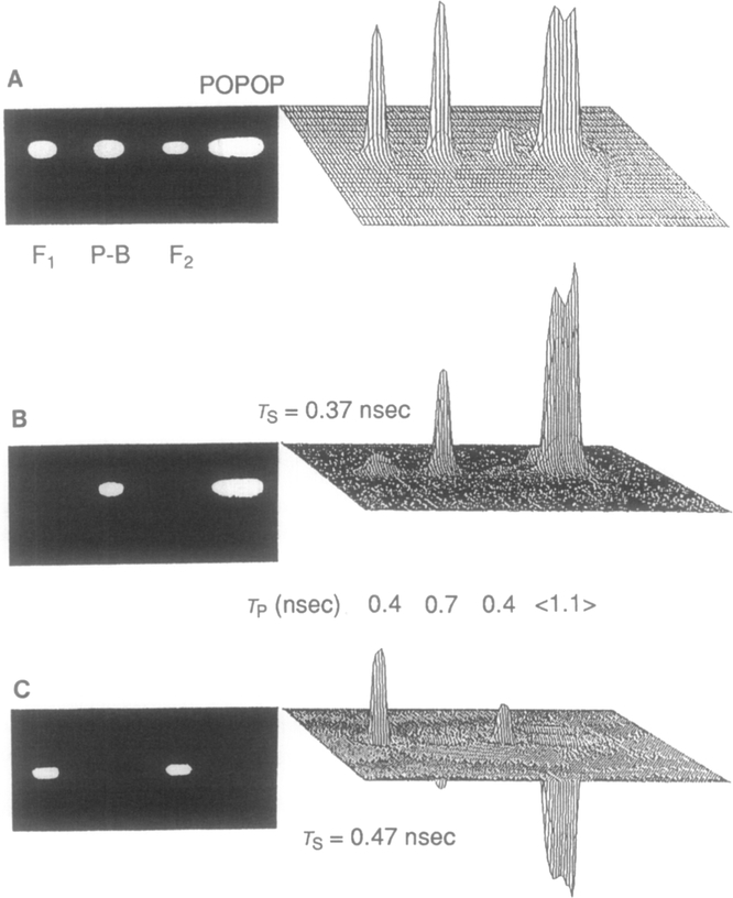 Fig. 10.