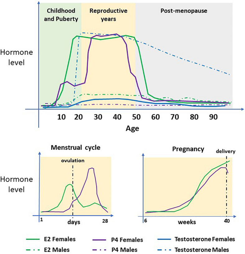 FIGURE 4