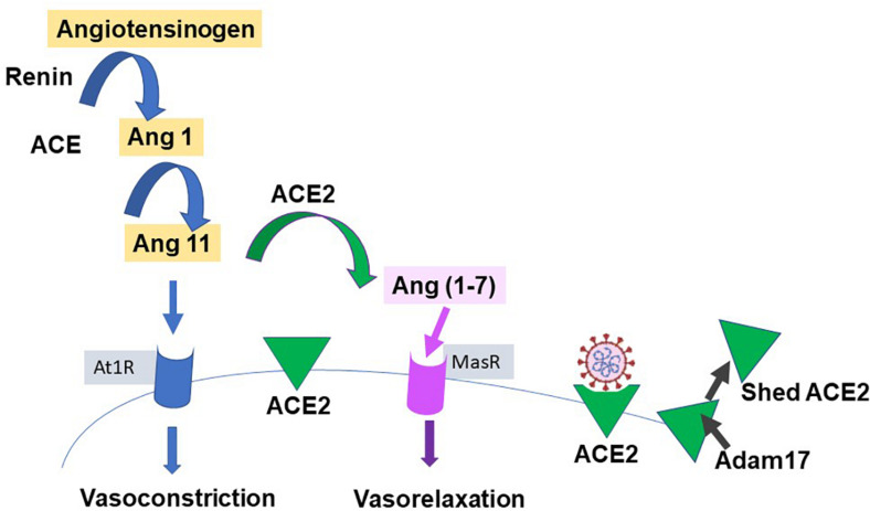 FIGURE 3