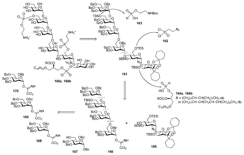 Scheme 30