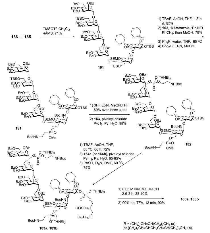 Scheme 33