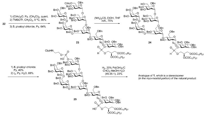 Scheme 4