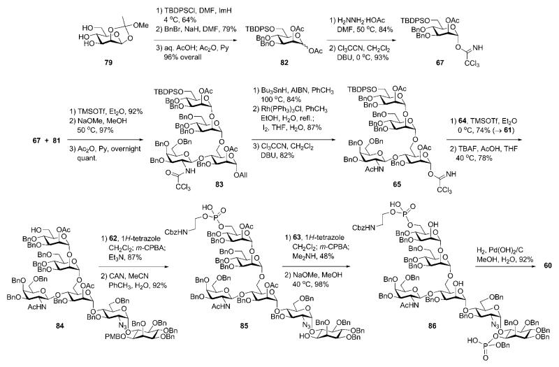 Scheme 15