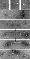 Fig. 10.
