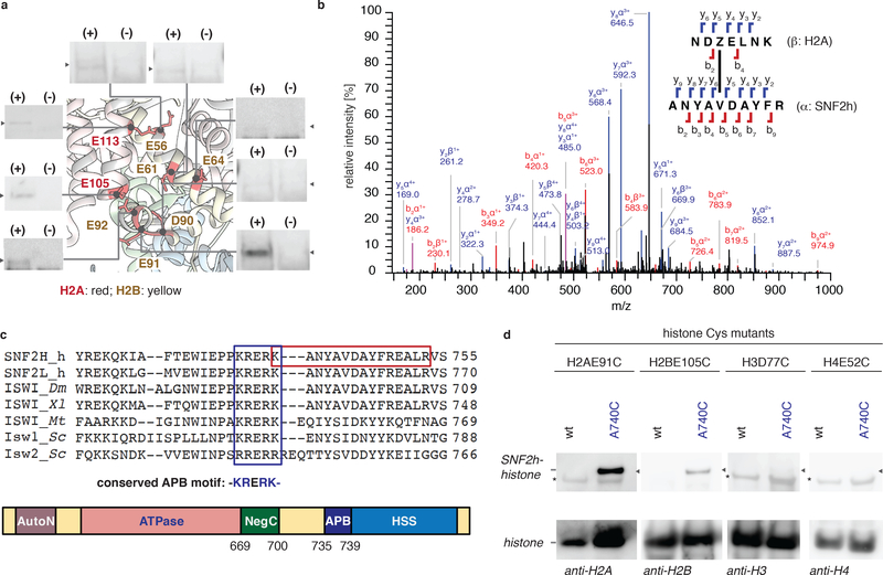 Figure 2 |