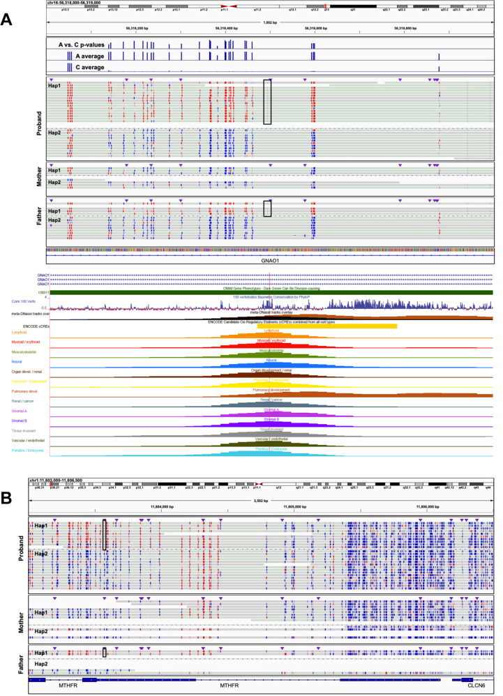 Fig. 6