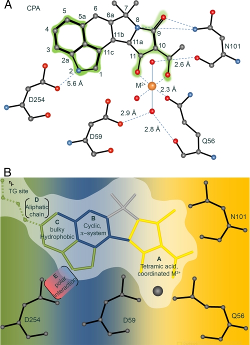 FIGURE 2.