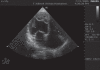 Figure 1)