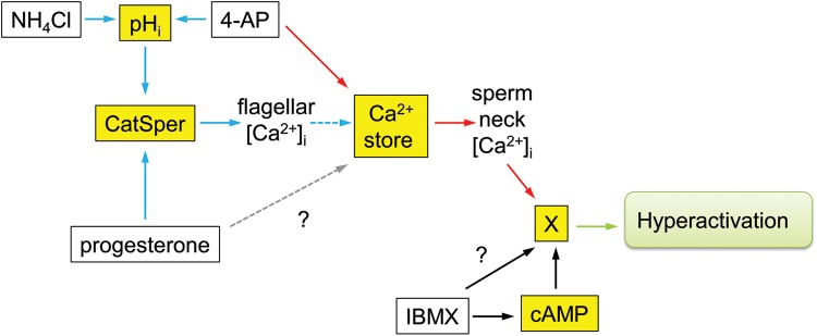 Figure 5