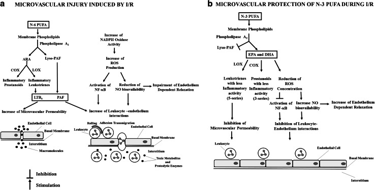 Fig. 7