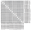Figure 6—figure supplement 1.