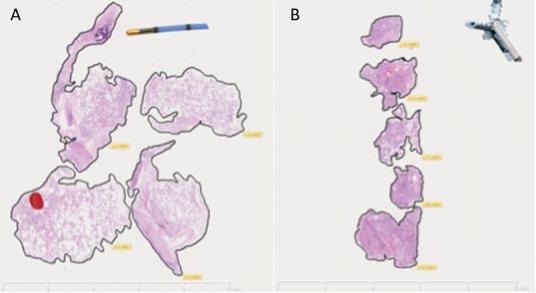 Fig 4.