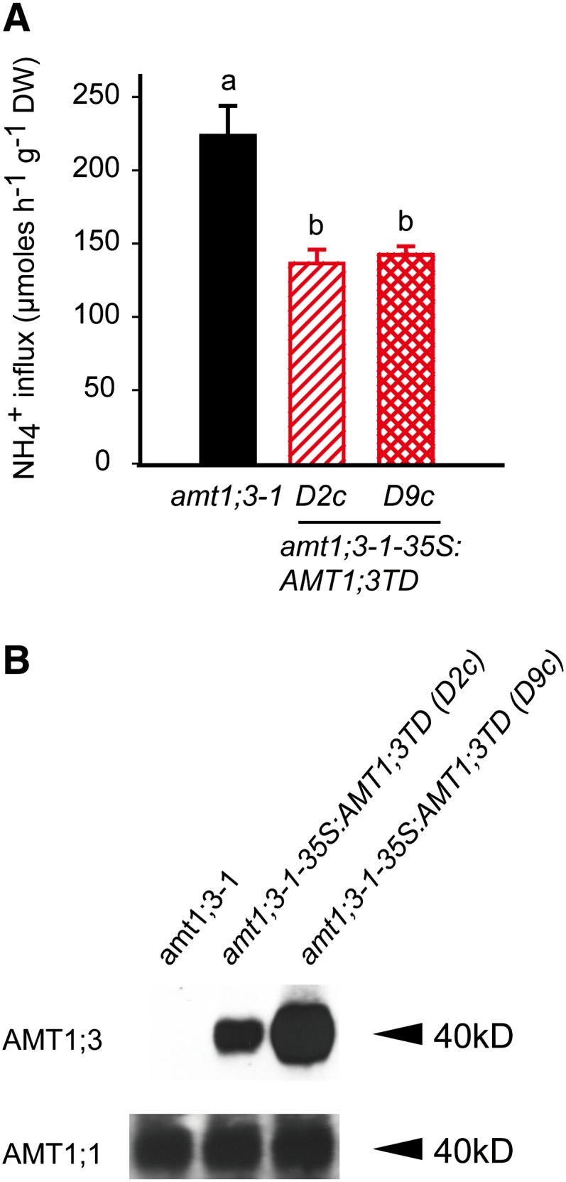 Figure 7.