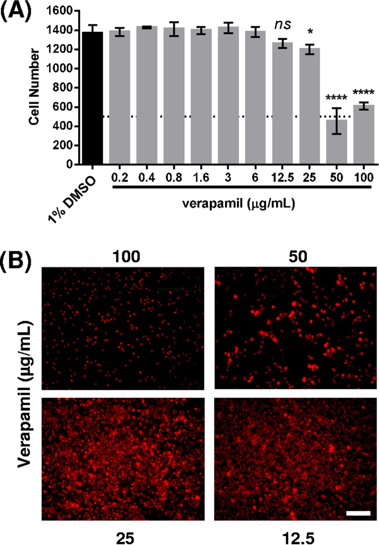 FIG 2