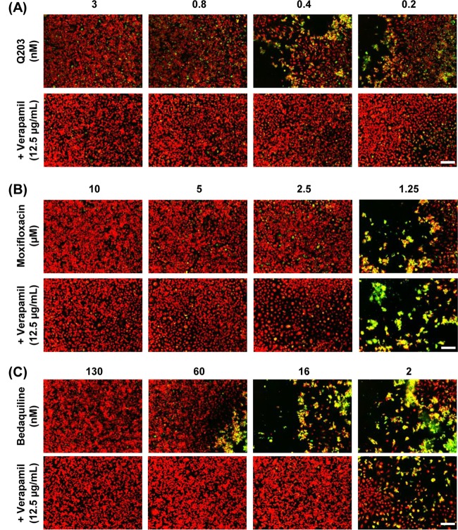 FIG 3