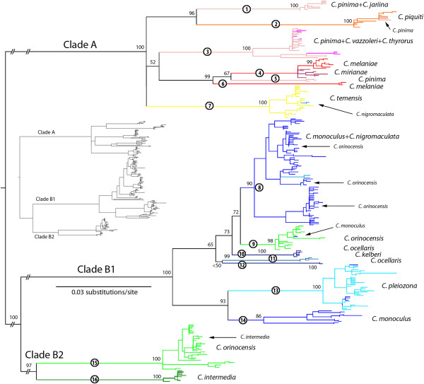 Figure 2 