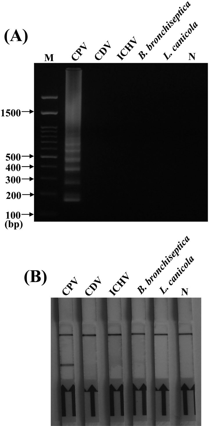 Fig. 6.