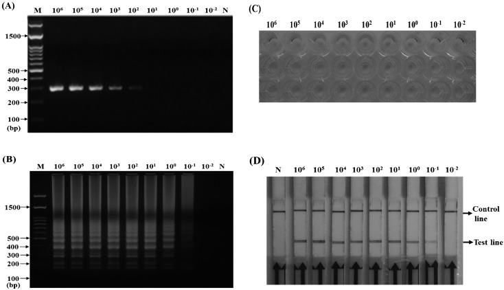 Fig. 4.